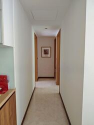 The Peak@Balmeg (D5), Condominium #561639091